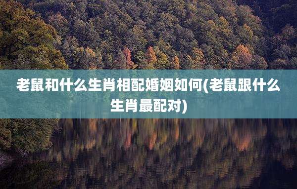 老鼠和什么生肖相配婚姻如何(老鼠跟什么生肖最配对)