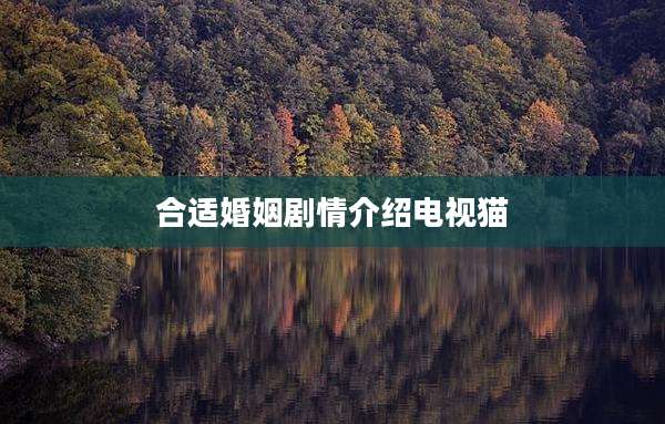 合适婚姻剧情介绍电视猫