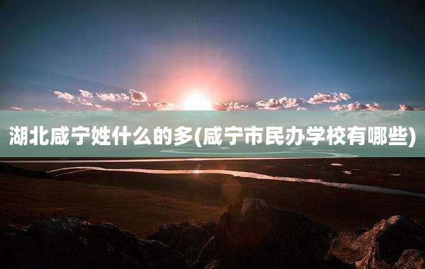 湖北咸宁姓什么的多(咸宁市民办学校有哪些)