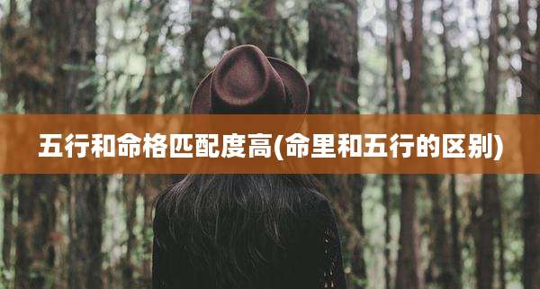 五行和命格匹配度高(命里和五行的区别)