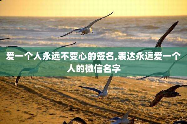 爱一个人永远不变心的签名,表达永远爱一个人的微信名字