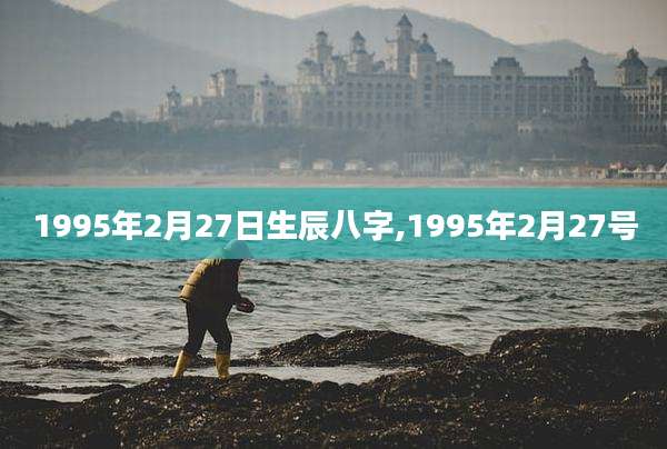 1995年2月27日生辰八字,1995年2月27号