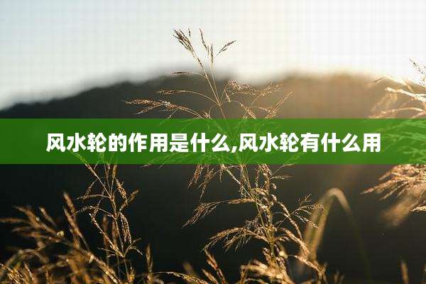 风水轮的作用是什么,风水轮有什么用