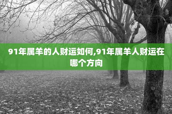 91年属羊的人财运如何,91年属羊人财运在哪个方向