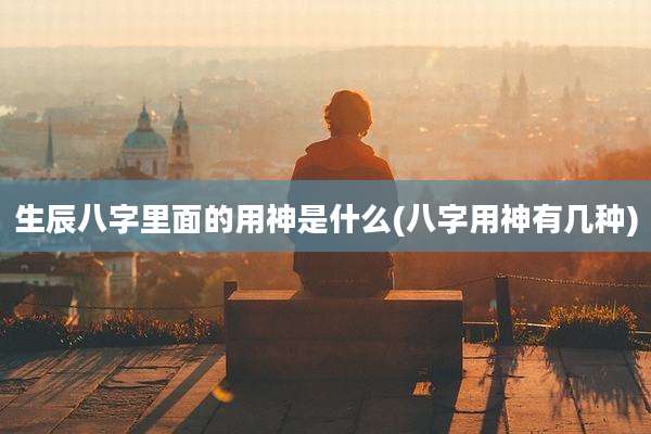 生辰八字里面的用神是什么(八字用神有几种)