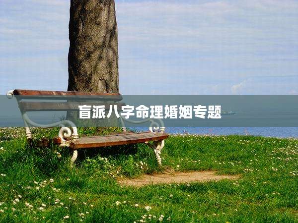 盲派八字命理婚姻专题