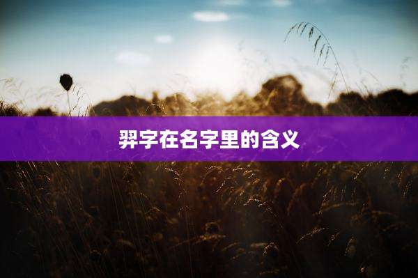 羿字在名字里的含义