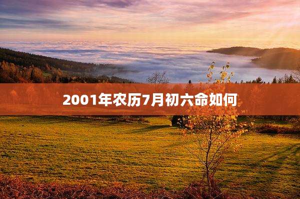 2001年农历7月初六命如何