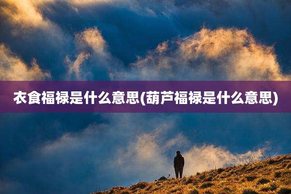 衣食福禄是什么意思(葫芦福禄是什么意思)