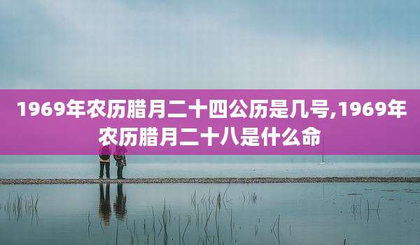 1969年农历腊月二十四公历是几号,1969年农历腊月二十八是什么命