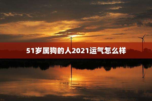 51岁属狗的人2021运气怎么样