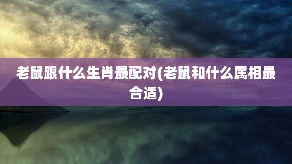老鼠跟什么生肖最配对(老鼠和什么属相最合适)