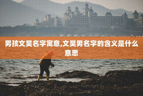 男孩文昊名字寓意,文昊男名字的含义是什么意思