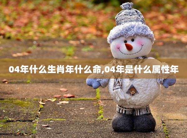 04年什么生肖年什么命,04年是什么属性年