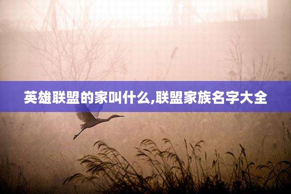 英雄联盟的家叫什么,联盟家族名字大全