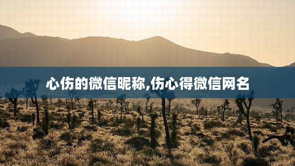 心伤的微信昵称,伤心得微信网名