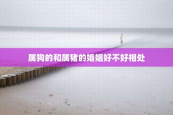 属狗的和属猪的婚姻好不好相处
