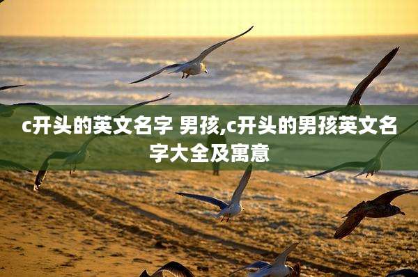 c开头的英文名字 男孩,c开头的男孩英文名字大全及寓意