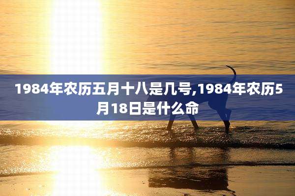 1984年农历五月十八是几号,1984年农历5月18日是什么命