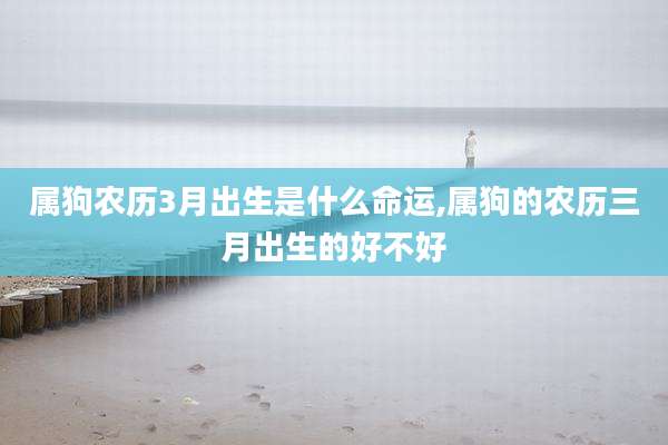 属狗农历3月出生是什么命运,属狗的农历三月出生的好不好
