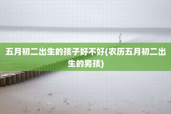 五月初二出生的孩子好不好(农历五月初二出生的男孩)