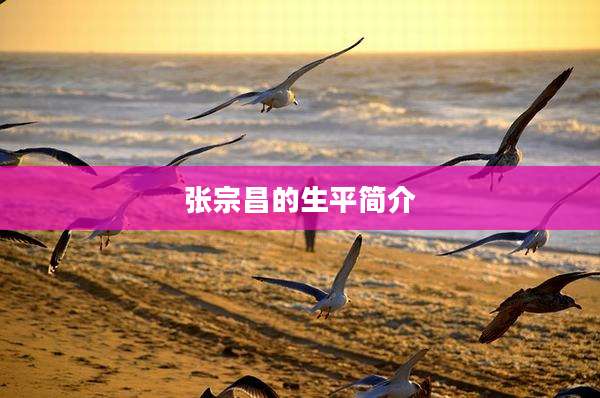张宗昌的生平简介