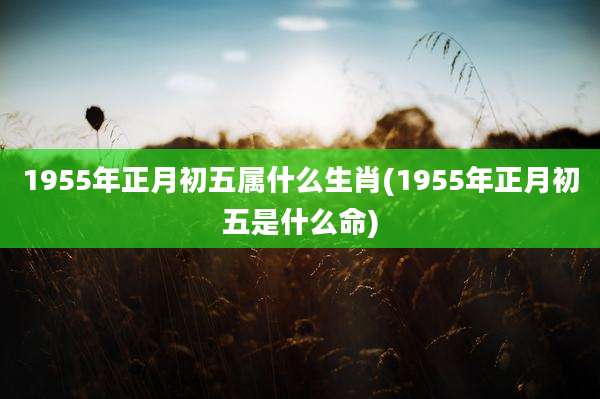 1955年正月初五属什么生肖(1955年正月初五是什么命)
