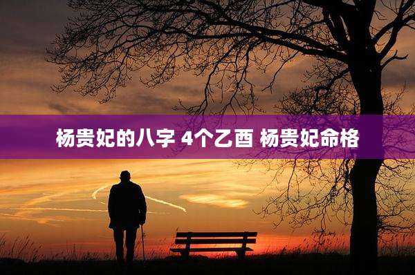 杨贵妃的八字 4个乙酉 杨贵妃命格