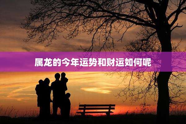 属龙的今年运势和财运如何呢