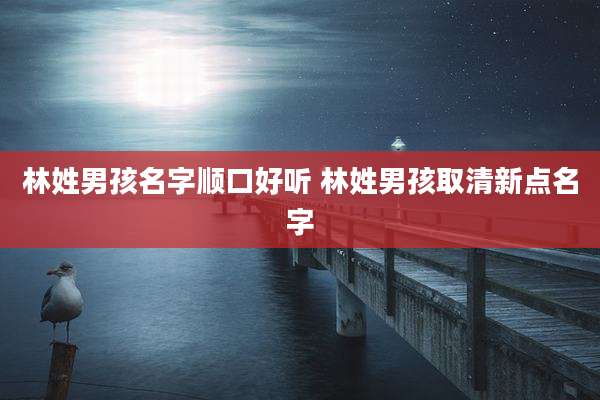 林姓男孩名字顺口好听 林姓男孩取清新点名字