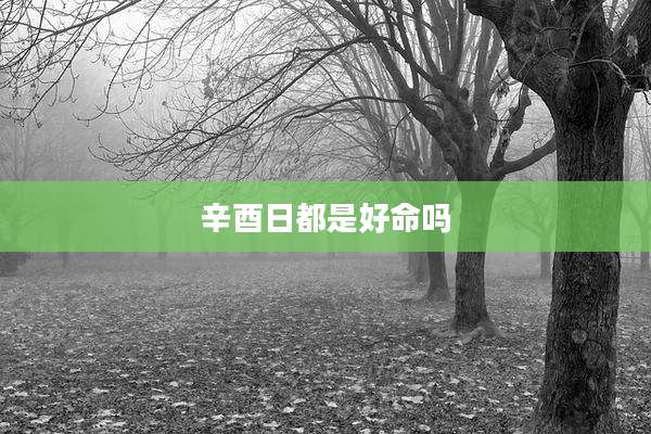 辛酉日都是好命吗