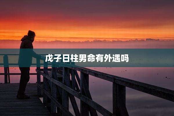 戊子日柱男命有外遇吗