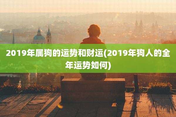 2019年属狗的运势和财运(2019年狗人的全年运势如何)