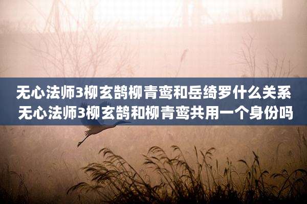 无心法师3柳玄鹄柳青鸾和岳绮罗什么关系 无心法师3柳玄鹄和柳青鸾共用一个身份吗