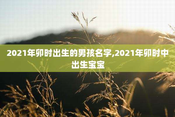 2021年卯时出生的男孩名字,2021年卯时中出生宝宝