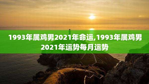 1993年属鸡男2021年命运,1993年属鸡男2021年运势每月运势