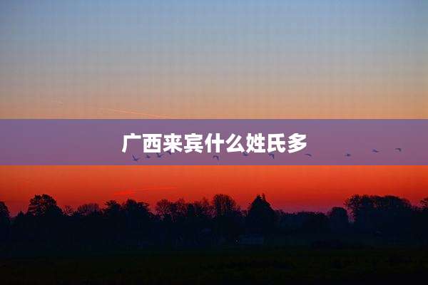 广西来宾什么姓氏多