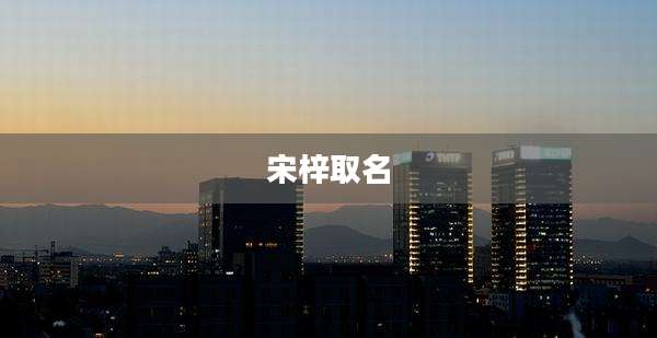 宋梓取名