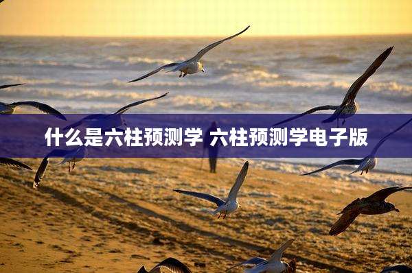 什么是六柱预测学 六柱预测学电子版