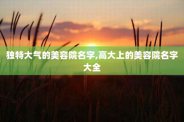 独特大气的美容院名字,高大上的美容院名字大全