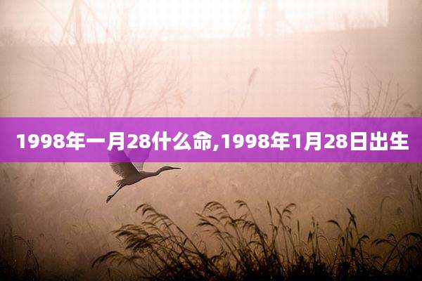 1998年一月28什么命,1998年1月28日出生