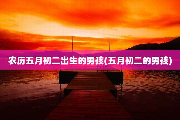 农历五月初二出生的男孩(五月初二的男孩)