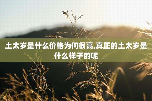 土太岁是什么价格为何很高,真正的土太岁是什么样子的呢