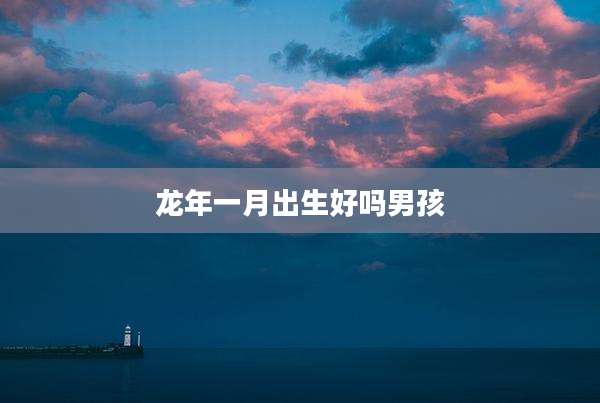 龙年一月出生好吗男孩