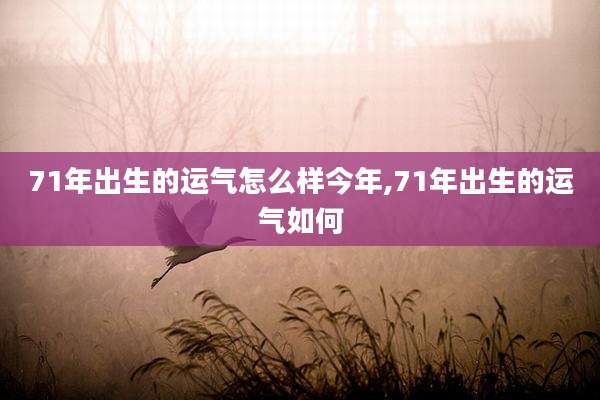 71年出生的运气怎么样今年,71年出生的运气如何