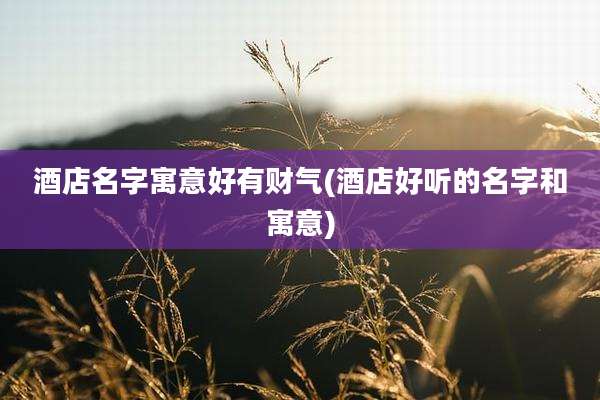酒店名字寓意好有财气(酒店好听的名字和寓意)