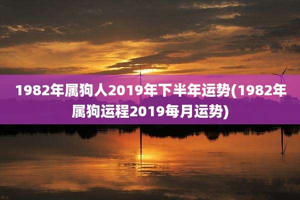 1982年属狗人2019年下半年运势(1982年属狗运程2019每月运势)
