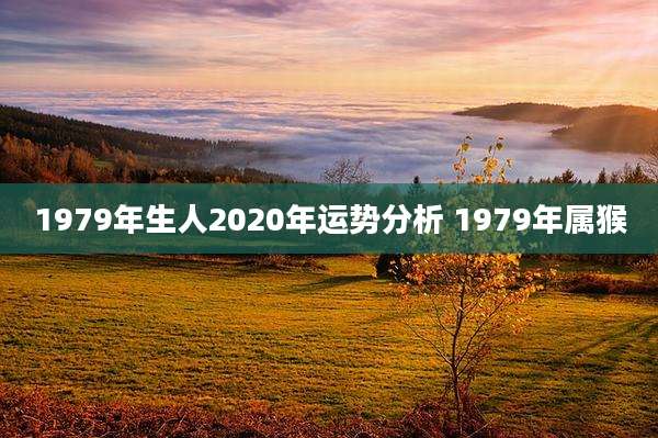 1979年生人2020年运势分析 1979年属猴