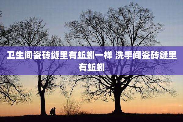 卫生间瓷砖缝里有蚯蚓一样 洗手间瓷砖缝里有蚯蚓
