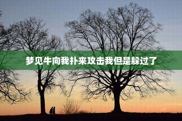梦见牛向我扑来攻击我但是躲过了